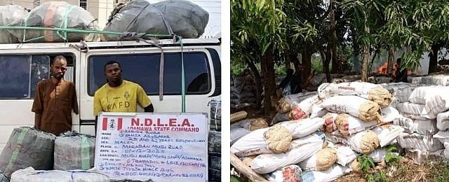7.6m tramadol pills, 76,273kg colorado, skunk seized in Delta, Imo, Adamawa raids