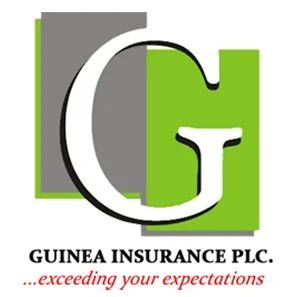 Guinea Insurance shareholders approve ₦15bn capital raise to drive recapitalisation, growth