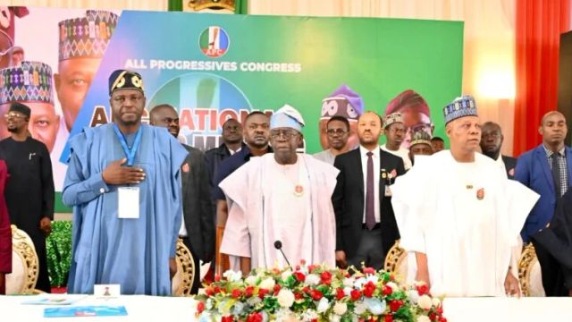 Tinubu convenes APC caucus ahead of NEC meeting