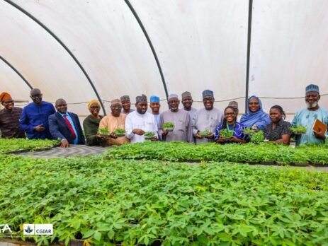Jigawa Gov’t holds strategic roundtable on Gagarawa agribusiness project