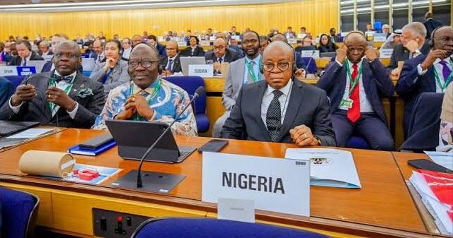 Stakeholders task FG on local reforms following Nigeria’s historic return to IMO council