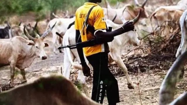 Oyo records 100 farmers–herders clashes monthly — NSCDC