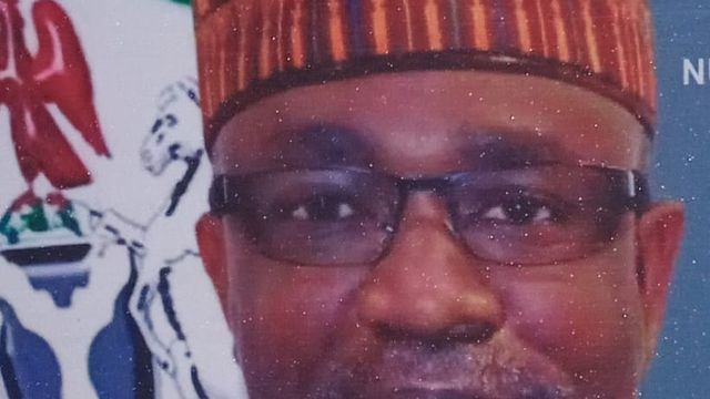 Lawmakers are not rubber stamp — Tinubu’s Aide