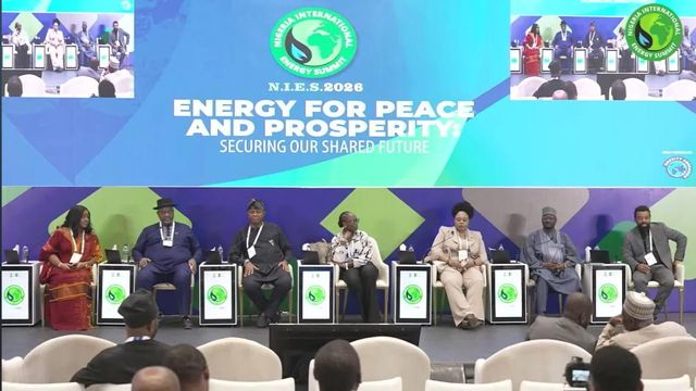 Nigeria’s electricity access programme only rivaled by India globally – REA MD