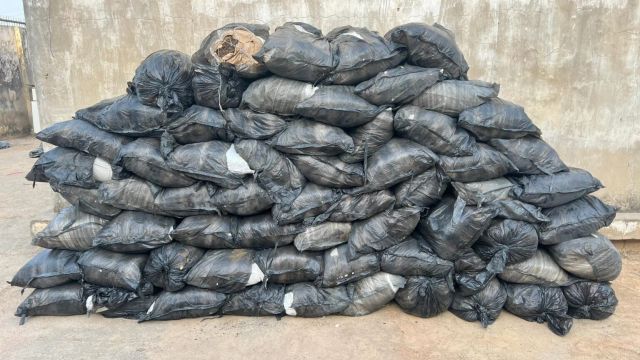 NDLEA seizes 64 bags of suspected cannabis, arrests driver in Kano