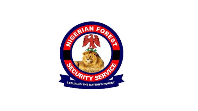 NFSS trains 2000 personnel on intelligence tactics in Ebonyi