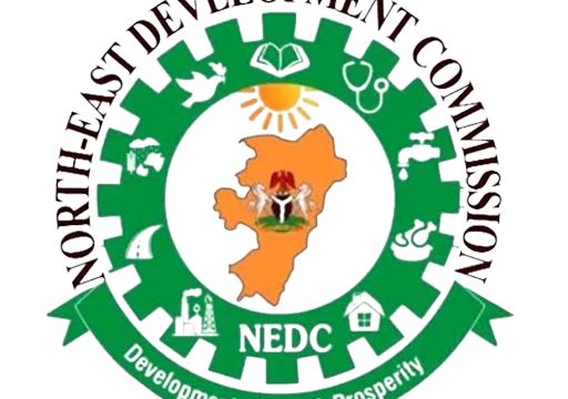 Minister, NEDC hand over multi-billion naira projects to Bauchi Gov’t