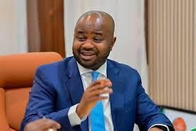 Tax reforms: Integration of technology in revenue systems critical- Adedeji