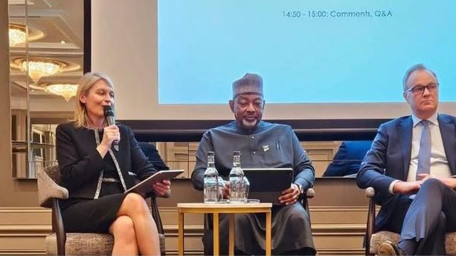 Kyari calls for investment in climate-resilient agriculture