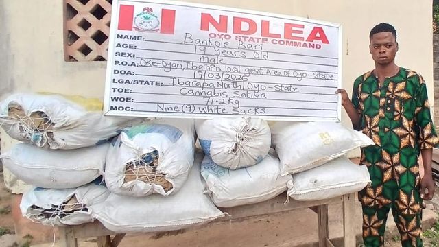 NDLEA thwarts international drug syndicates, seizes illicit consignments