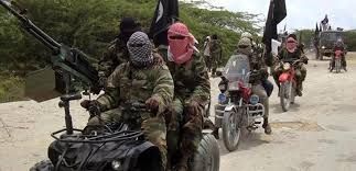 Many killed, over 100 missing as insurgents attack Borno community