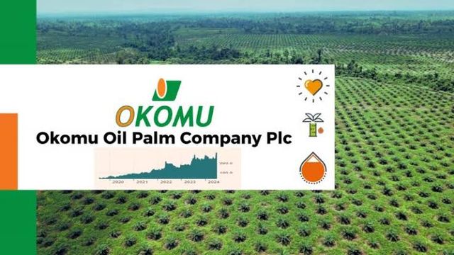 Okomu oil palm PLC posts ₦128bn revenue amidst export growth