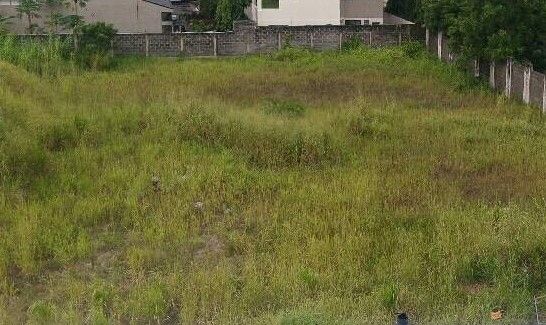Land dispute spirals into violent attacks in Benin