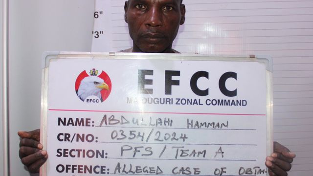 Court jails fraudster over N13m scam in Maiduguri