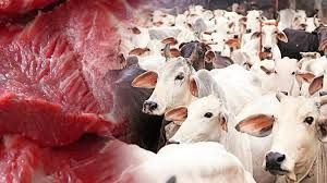 Cow prices hit N2.5m, higher than used cars, butchers lament