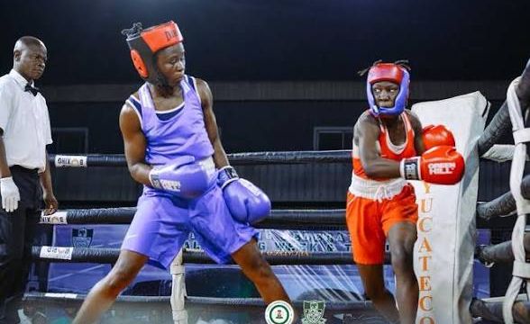 NBF invites 40 boxers for final Commonwealth Games camp