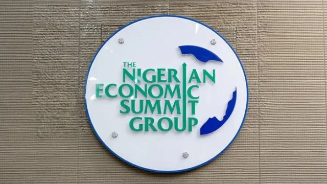 NESG calls for amendment of tax laws, PIA, others
