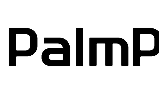 PalmPay says trust deficit, fraud concerns stall digital payments growth