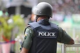 Police arrest 4 suspects, recover firearms in Ogun