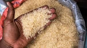 Rice farmers lament as increased import cripples sector