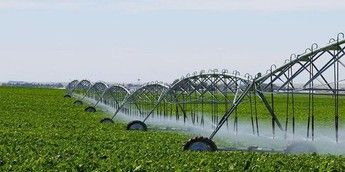 Tanzania attains 130 % food self-sufficiency as crop output surges