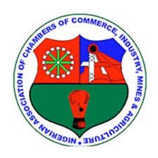 Institute to deepen economic cooperation between Nigeria, Central European region