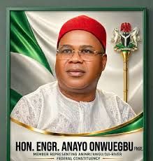 Nwobi rallies support for federal lawmaker, warns against ‘mischievous’ publications