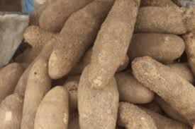 Yam prices rise across Lagos markets as traders, consumers lament