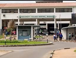 Lassa Fever: 44-year-old woman dies in Oyo