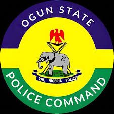 Woman arrested for pouring hot water on niece