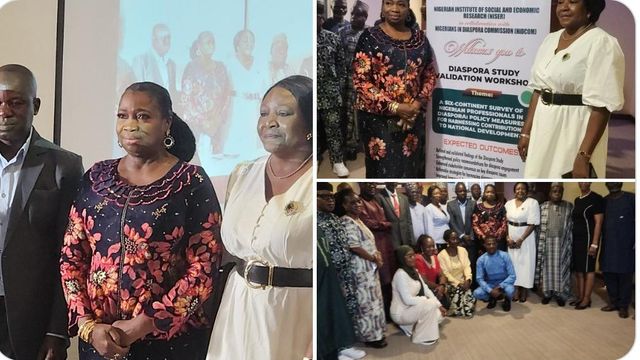 NISER, NiDCOM validate diaspora study