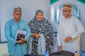 Yobe youths advocate peace, sustainable development