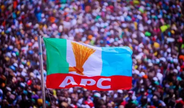 APC denies plot to impose candidates in Lagos