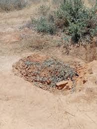 Three missing siblings found dead in shallow graves
