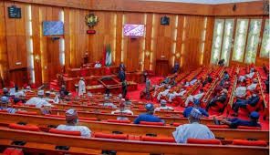 Senate orders probe into, relief for Adamawa attack victims