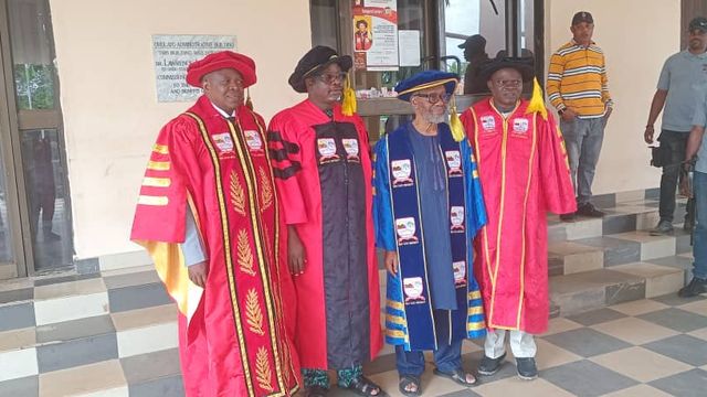 Activism, academic freedom essential to University governance – Prof. Omole