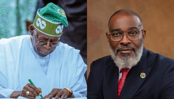 Tinubu appoints Fadewa as homeland security adviser