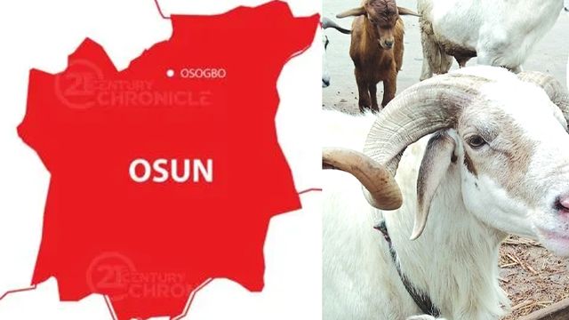 Eid-el-Kabir: Livestock sellers in Osun decry poor patronage