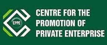 CPPE calls for accelerated reforms to improve electricity supply