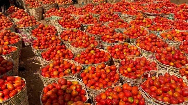 FCT residents, traders lament rising cost of tomatoes, pepper