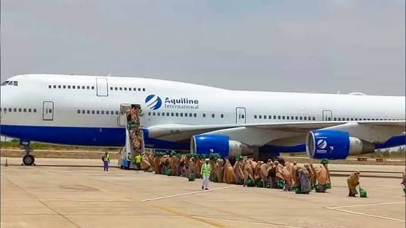 Ogun clarifies Hajj flight rearrangement