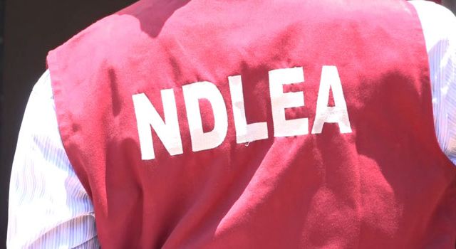 NDLEA arrests over 400 drug suspects, secures 50 convictions in Kano – Commander