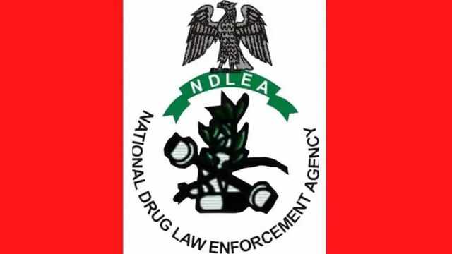 NDLEA raids Kano drug joints, arrests 6 suspects
