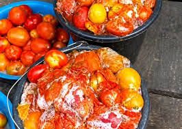Spoiled tomatoes unsafe for human consumption— LASCOPA warns Residents