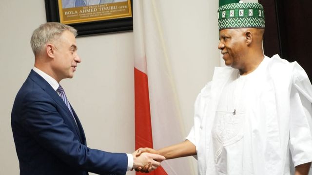 Nigeria, Poland explore partnership on digital economy, defence, others