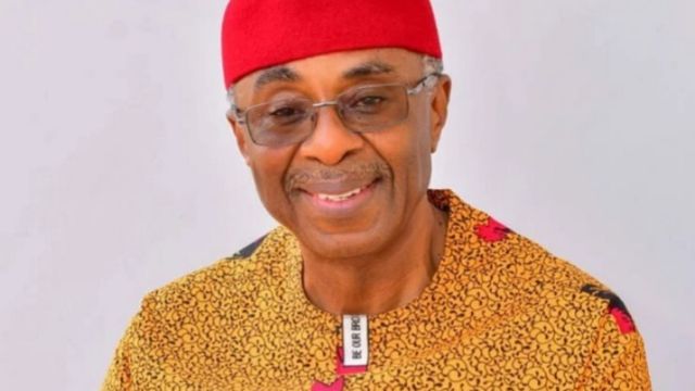 2027: Dike, APGA Rep. candidate in Anambra hails constituents for victory