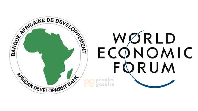 AfDB, World Economic Forum unveil new financing roadmap for frontier markets