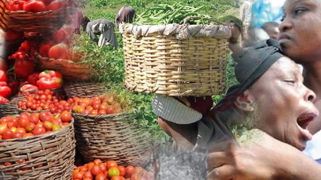 Food insecurity now security threat — Uwaleke