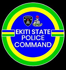 Police detain officer seen in viral drug influence video