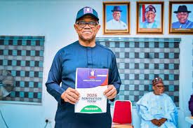 NDC clears Peter Obi for Presidential primary